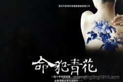 命犯青花(30集全)