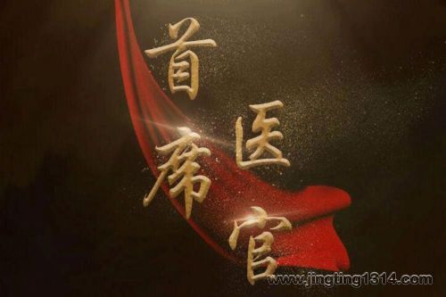 首席医官(51集全)