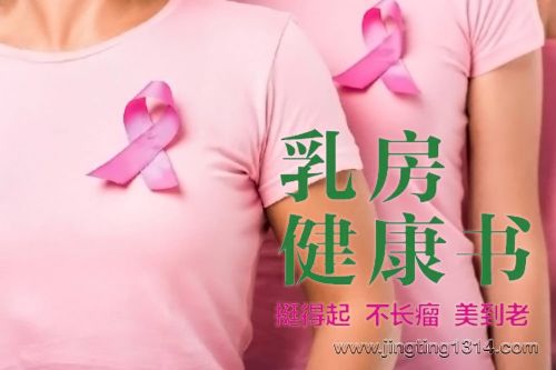 王文华:乳房健康书(女性畅销)