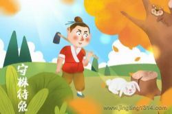 �������彲���£��������