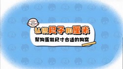 ���ѧ԰2023�����θİ�Сѧ��ѧ���꼶�ϲᣨ791M������Ƶ���ٶ����̱���