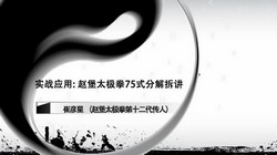 实战应用 赵堡太极拳75式技击分解拆讲(741M高清视频)百度网盘保存