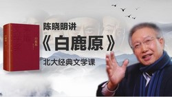 陈晓明讲《白鹿原》,北大教授经典文学课(752M高清视频)百度网盘保存