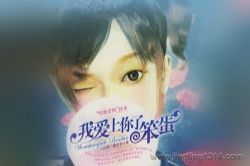 �Ұ������˱�����19��ȫ��