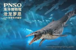 PNSO����������PNSO������ݣ���ͯ���� ������֪ʶ��