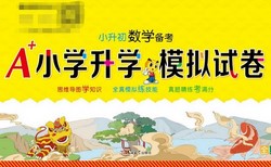 С�����ܸ�ϰ�̸���A+Сѧ��ѧģ���Ծ���117MB PDF���ϣ��ٶ����̱���