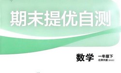 2024春《实验班提优训练》数学北师大版(2.44GB PDF资料)百度网盘保存
