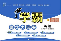 2024春学霸提优大试卷3-6年级下册英语江苏国标(300MB PDF资料)百度网盘