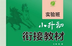 С�����ܸ�ϰ�̸���ʵ���С�����νӽ̲ģ�156MB PDF���ϣ��ٶ����̱���