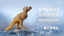 PNSO恐龙大王:和赵闯认识小恐龙(恐龙科普)(1.50G高清视频)百度网盘保存