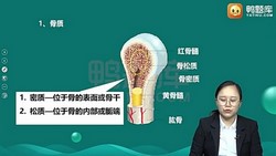 医学类考试:鸭题库2022放射医学技术(士)(1.33G标清视频)百度网盘