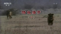 ������涯������106����137G������Ƶ���ٶ����̱���