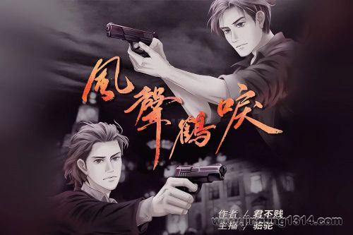 有声的骆驼:风声鹤唳 死神的哈士奇作者著 大案纪实 绝密档案