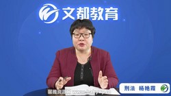 文都考研2023考研法律硕士基础精讲刑法课程(法硕 35.0GB高清视频)百度网盘