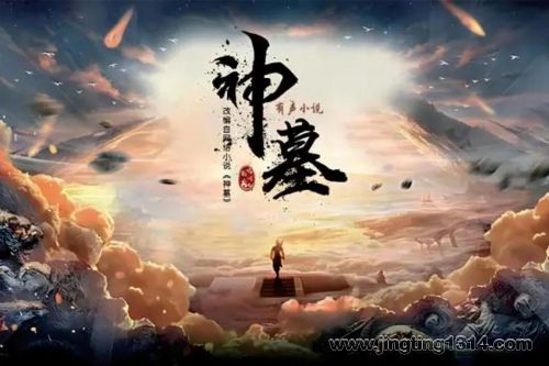 神墓(辰东丨大灰狼)