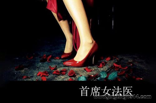 首席女法医-致命暴露(20集全)