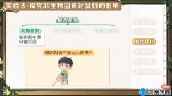 ���ѧ԰2023Сѧ��Ȼ�γ̣���ѧ����3-6�꼶ͨ�ã���2.66G������ˮӡ�棩